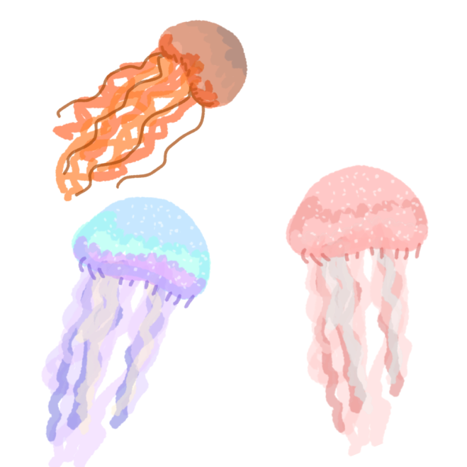 three similar jellyfish in different colors. the top jellyfish starts with a reddish brown on its bell and lightens to orange in its tentacles. the second jellyfish starts with blue on its bell and teal on its bell and ends with purple tentacles. the third jellyfish is shades of dusky and light pink